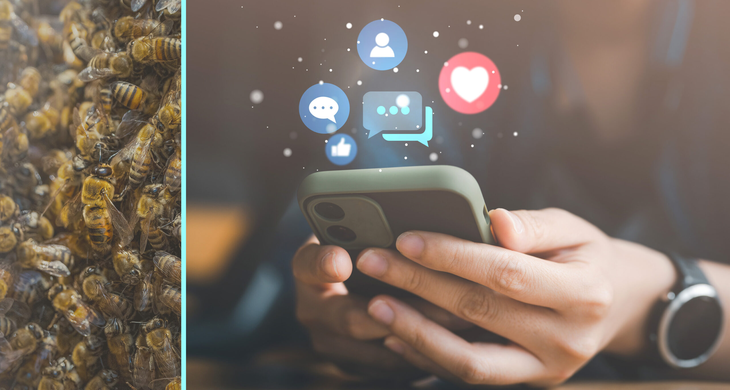 vidéo réseaux sociaux